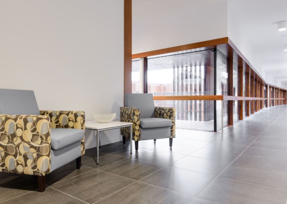 Celebration Driftwood